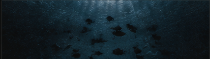 Acuario